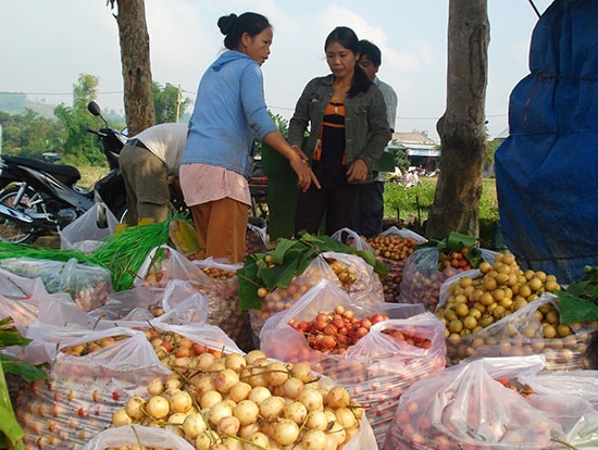 phần lớn các mặt hàng nông sản của địa phương rất bấp bênh về đầu ra.  Ảnh: VĂN SỰ