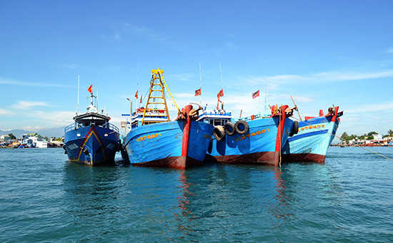 Lực lượng kiểm ngư bắt giữ các tàu giã cào Quảng Ngãi khai thác trái phép trên vùng biển Quảng Nam.Ảnh: QUANG VIỆT