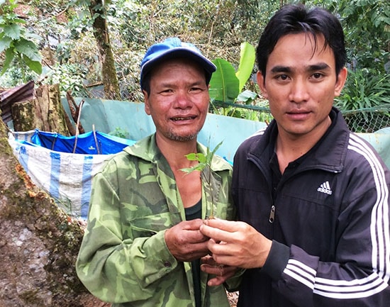 Anh Đinh Hồng Thắng (phải) cùng với người dân bên cây Sâm Ngọc Linh.