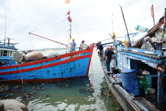 Lượng tàu thuyền lớn từ Cù Lao Chàm vào bờ tránh trú. Ảnh: MINH HẢI