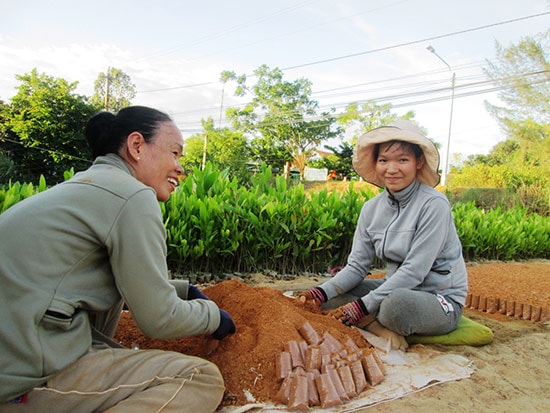 Một số hộ dân ở xã Duy Hải (Duy Xuyên) cải tạo những khu vườn trước đây trồng điều để xây dựng cơ sở ươm giống cây lâm nghiệp.