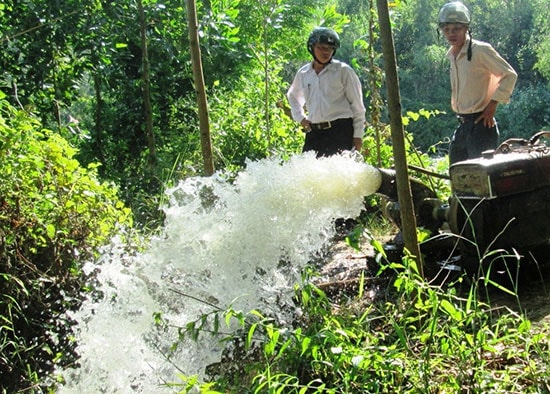 Ngay từ đầu vụ, cả trăm máy bơm dã chiến đã được lắp đặt để chống hạn cho nhiều cánh đồng lúa. Ảnh: VĂN SỰ