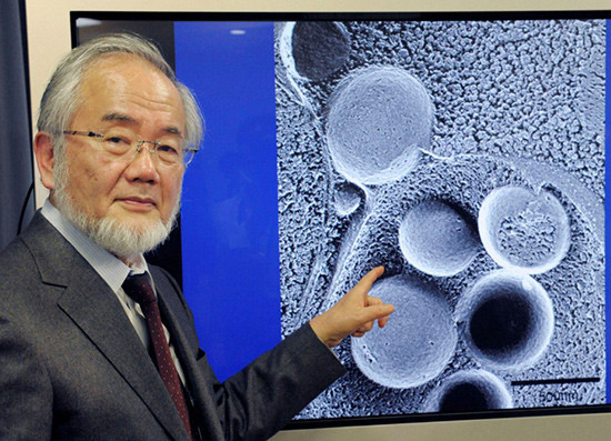 Giáo sư Yoshinori Ohsumi (Ảnh: Reuters)