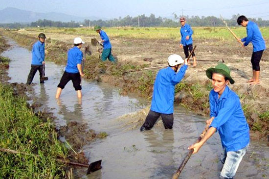 Thanh niên Núi Thành tham gia nông thôn mới, xây dựng quê hương.