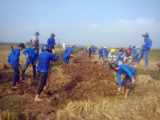 Tuổi trẻ Tam Kỳ giúp người dân thôn Thái Nam (xã Tam Thăng) đắp bờ bao ngăn ruộng. Ảnh: MỸ LINH