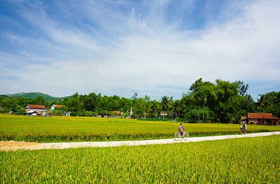 Làng quê, nơi chất chứa nhiều kỷ niệm trong tôi. Ảnh: PHƯƠNG THẢO