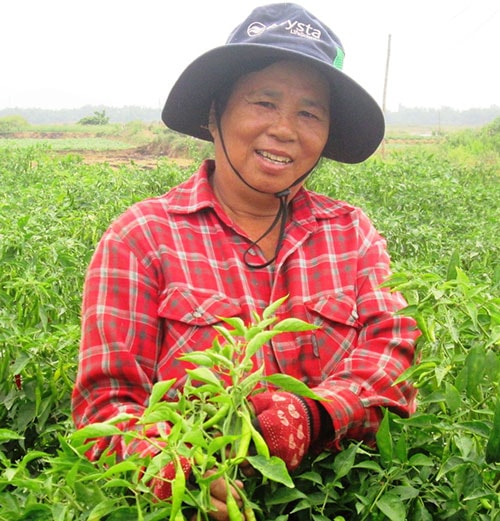 Cần tập trung hỗ trợ cư dân nông thôn phát triển mạnh sản xuất để nâng cao thu nhập.Ảnh: N.PHƯƠNG