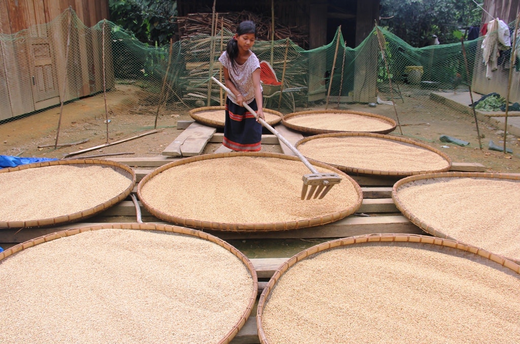 Ngày xưa, nghề đan lát thường chỉ phục vụ cho đời sống sinh hoạt hàng ngày của đồng bào.