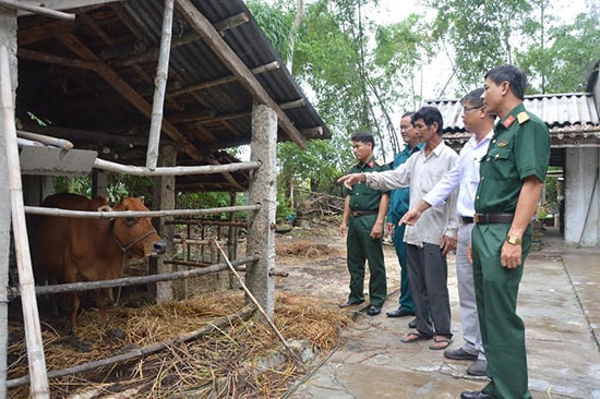 Ban CHQS huyện Thăng Bình tặng bò cho hộ nghèo để phát triển chăn nuôi. Ảnh: D.L