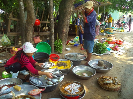 Chợ cóc ngã tư đường Tam Kỳ - Phú Ninh và QL40B.