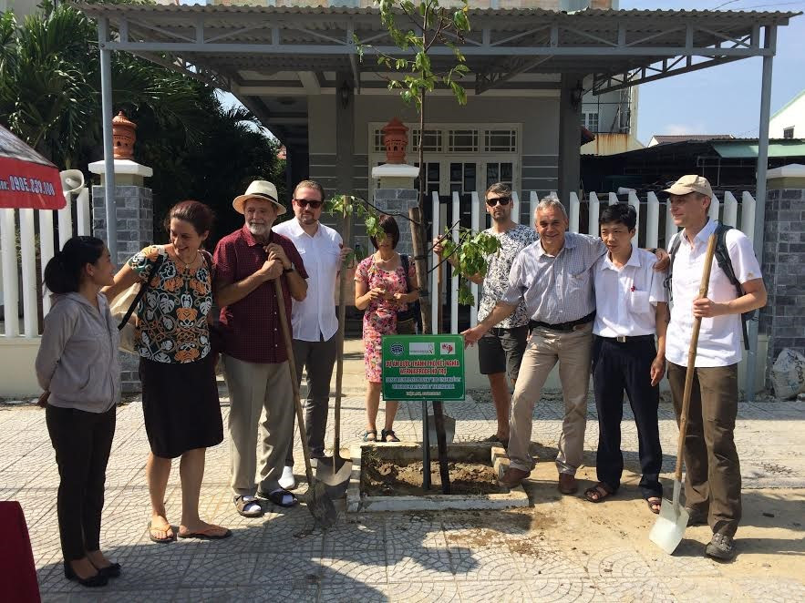 A tree planted in the street