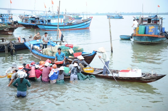 Để có thêm thu nhập, hàng trăm phụ nữ dầm mình để tranh nhau mua cá. Ảnh: MINH HẢI