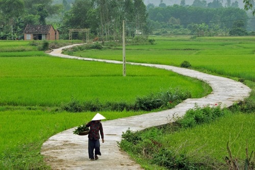 Ảnh minh họa. Nguồn: Internet