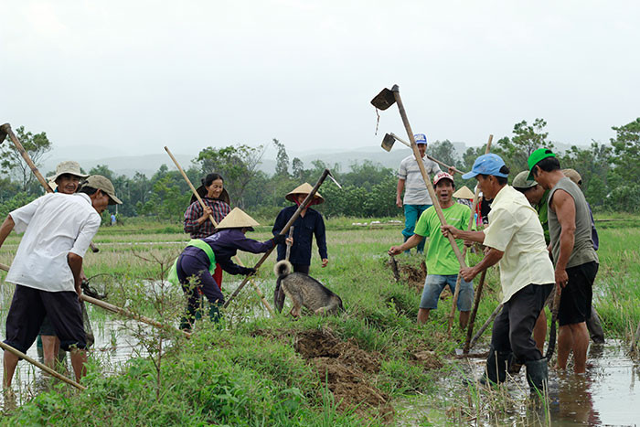 Nông dân thôn Diệm Sơn 1 và Diệm Sơn 2 tham gia chiến dịch ra quân diệt chuột.