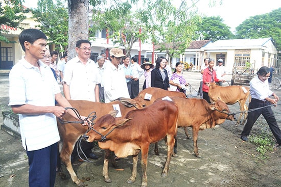 Tặng bò cho người nghèo ở xã Bình Trung. Ảnh: N.Q.V