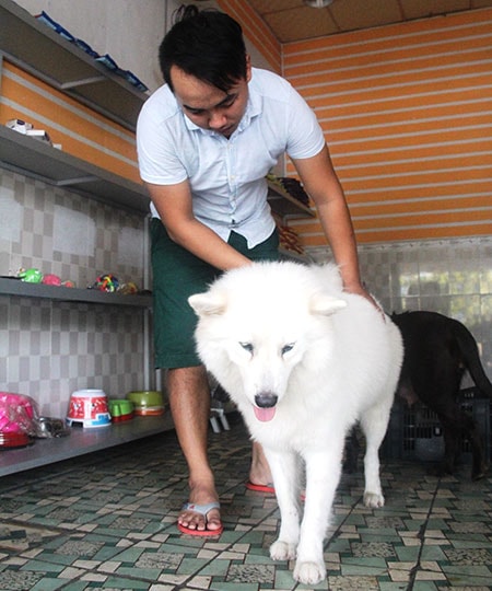 Chăm sóc thú cưng, vừa là công việc vừa là niềm đam mê của Tùng. Ảnh: KIỀU LY