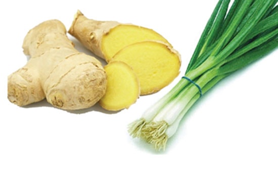 Gừng tươi, hành trắng chữa cảm lạnh, sốt không ra mồ hôi, nhức đầu, ho, sổ mũi, người gai gai ớn lạnh