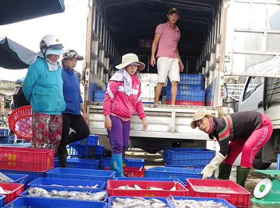 Phụ nữ làng biển cùng nhau giúp đỡ chuyện bán buôn.