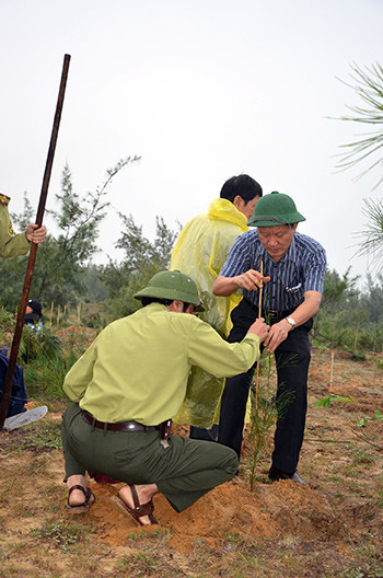 Phó Chủ tịch UBND tỉnh Trần Đình Tùng phát động tham gia trồng cây tại khu vực đất cát ven biển thuộc thôn Quý Thượng (xã Tam Phú). 