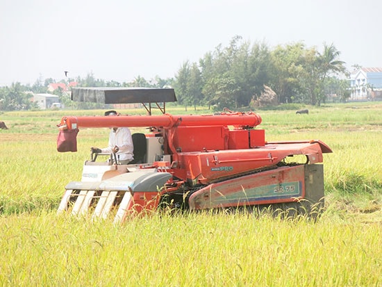 Cơ khí hóa nông nghiệp. Ảnh: T.D