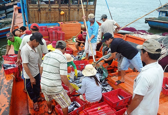 Tàu cá của anh Cảnh bán hải sản tại Tam Quang. Ảnh: v.q