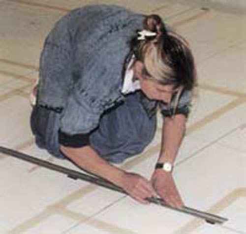Wendy Taylor đang làm việc.