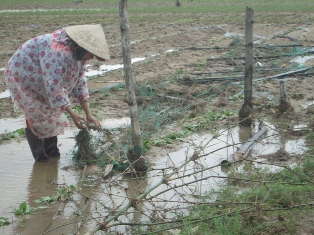 Đắng lòng trước lũ dữ. Ảnh: M.PHƯỜNG