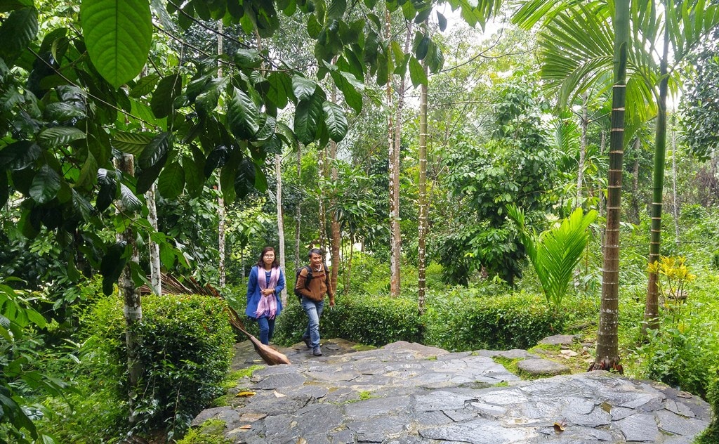 Lộc Yên vốn xanh. Trong những lúc ngớt mưa, màu xanh của Lộc Yên như được gội rửa, tăng phần lãng mạn. Ảnh: XUÂN THỌ