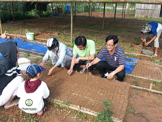 Cơ chế cho đồng bào miền núi phát triển cây dược liệu vẫn còn hạn chế. Trong ảnh: Vườn ươm cây dược liệu tại huyện Tây Giang. Ảnh: TRẦN HỮU