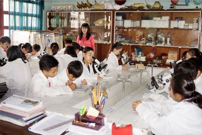Học sinh Trường phổ thông Hermann Gmeiner trong một giờ học thực hành.