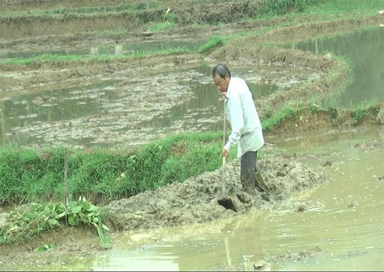 Nông dân Tiên Cẩm tích cực ra đồng đắp bờ thửa chuẩn bị xuống giống vụ đông xuân. Ảnh: P.H