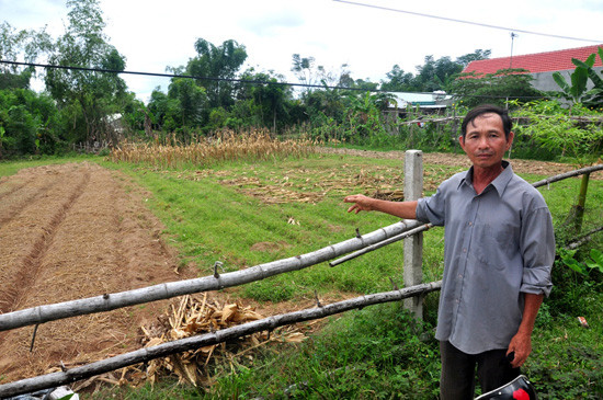 Hộ ông Phạm Thuấn có 1.200m2 đất bị thu hồi đã được chính quyền xã Tam An bàn giao mặt bằng cho các hộ đã mua trước đây. 