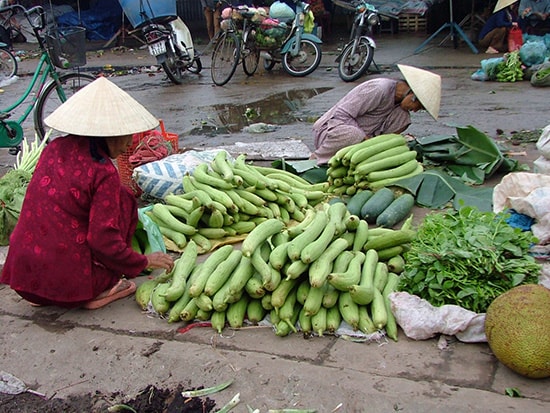 Rau quả ở chợ quê. 