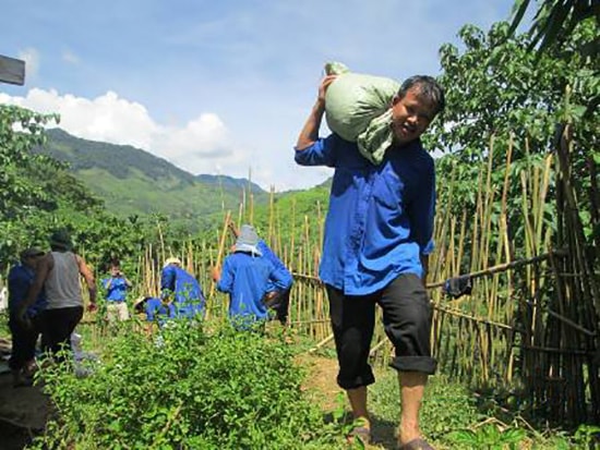 Bí thư Đoàn phường Tân Thạnh - Phạm Nguyễn Hồng Châu nhiệt tình với công tác xã hội. 