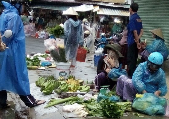 Sản phẩm “cây nhà lá vườn” được nhiều người chọn mua. ảnh: Châu Nữ