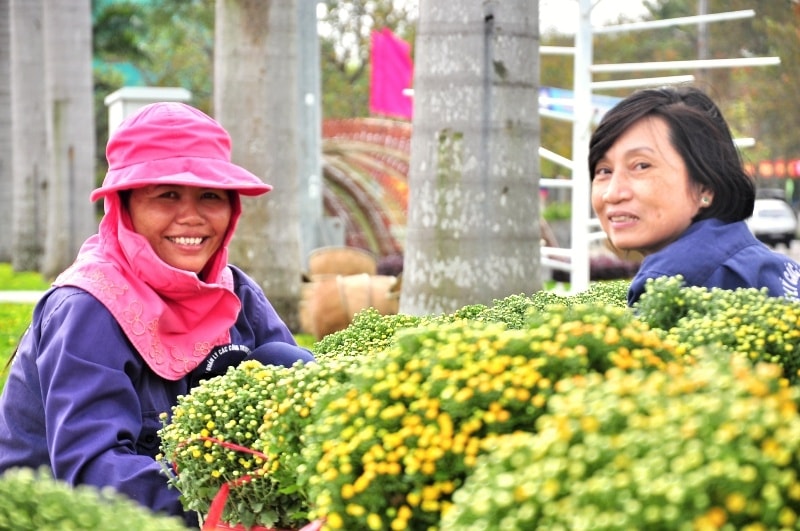  Hai nhân viên nữ tươi cười bên những chậu cúc mâm xôi đang bung hoa. Ảnh: VINH ANH