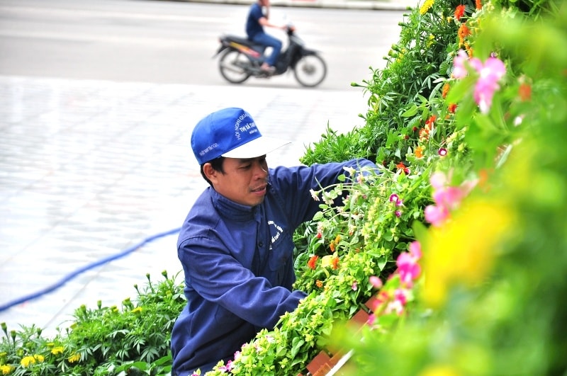  Những nhân viên miệt mài bên những chậu hoa kheo sắc thắm. Ảnh: VINH ANH