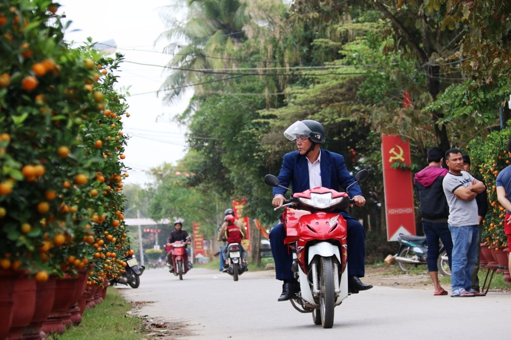 Người dân chỉ mới đi khảo sát giá các loại hoa, quật cảnh chứ chưa quyết định mua. Ảnh: C.TH