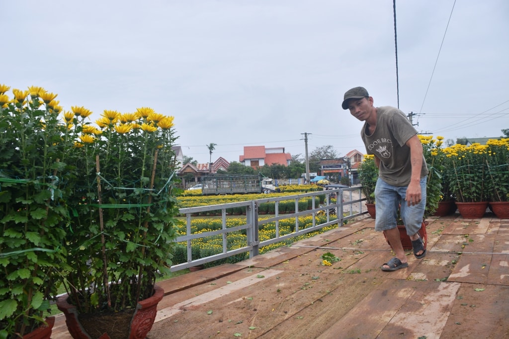 Do ảnh hưởng của lũ lụt, giá hoa tăng cao so với năm ngoái. Ảnh: C.TH