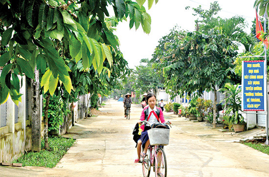 Đường Số 2, tuyến đường xanh - sạch - đẹp ở thôn Bến Đền Tây, xã Điện Quang (Điện Bàn).
