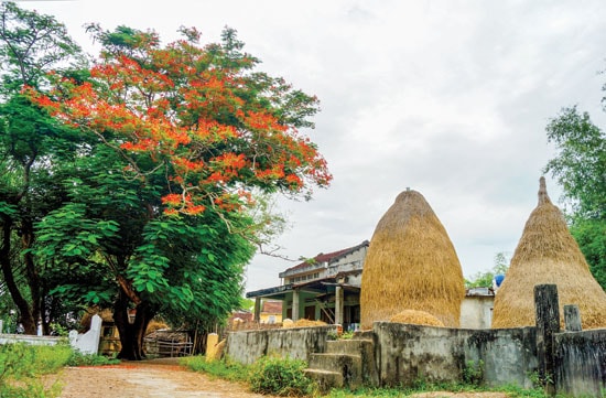 Làng  quê.Ảnh: NGUYỄN TUẤN