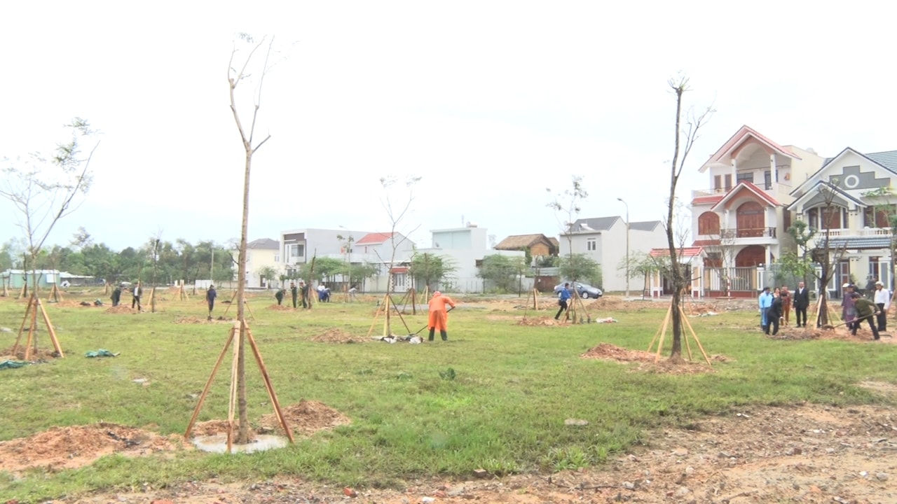 Nhiều cây xanh được trồng tại lễ phát động Tết trồng cây đời đời nhớ ơn Bác Hồ. Ảnh: MỸ LINH
