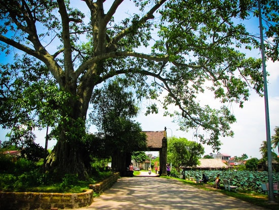 Đường vào làng. Ảnh minh họa
