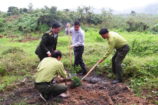 Phó Chủ tịch Lê Trí Thanh trồng cây tại trụ sở Khu bảo tồn thiên nhiên Sông Thanh. Ảnh: HOÀNG LIÊN