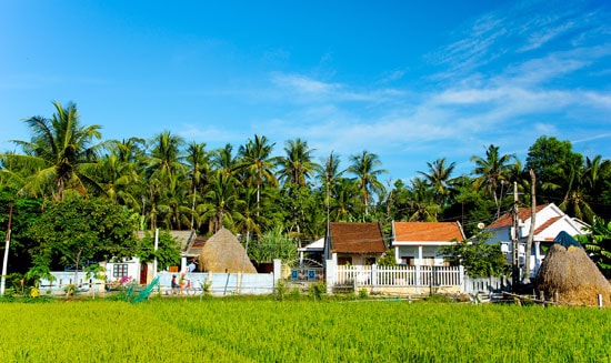 Làng quê xứ Quảng. Ảnh: PHƯƠNG THẢO