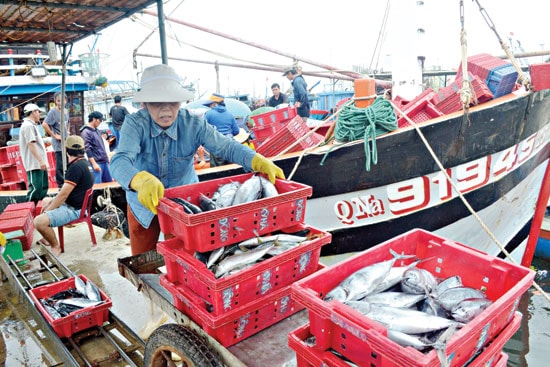 Thu mua cá từ tàu QNa-91945.