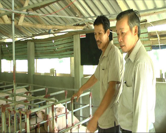 Từ mô hình chăn nuôi heo hướng nạc, anh Nguyễn Đắc Lực (bên trái) đã có nguồn thu hơn 300 triệu đồng mỗi năm. Ảnh: P.H