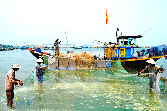Ngư dân xã Duy Hải gỡ cá ngay trên thuyền để bán tại bến An Lương. Ảnh: N.Q.V