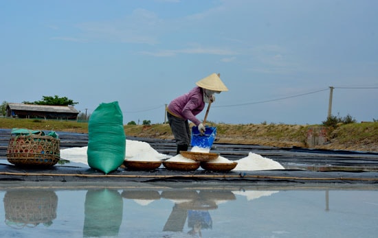 Thời điểm hiện tại, diêm dân Tam Hòa đang gặp khó khăn với nghề muối truyền thống. Ảnh: T.C