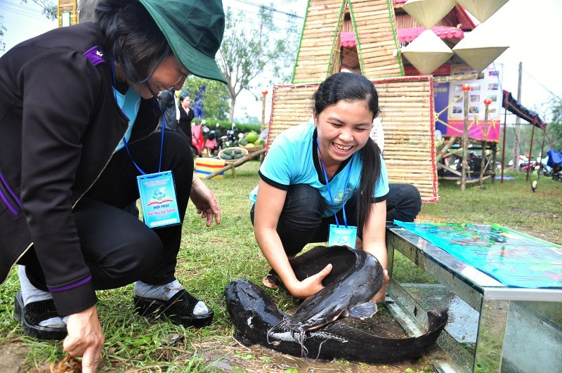 Hai con cá trê với trọng lượng gần 10kg được mang đến trưng bày tại hội trại. Ảnh: VINH ANH